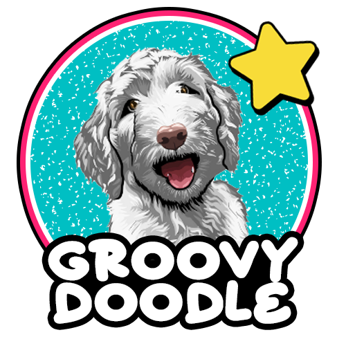 Groovy Doodle Graphics