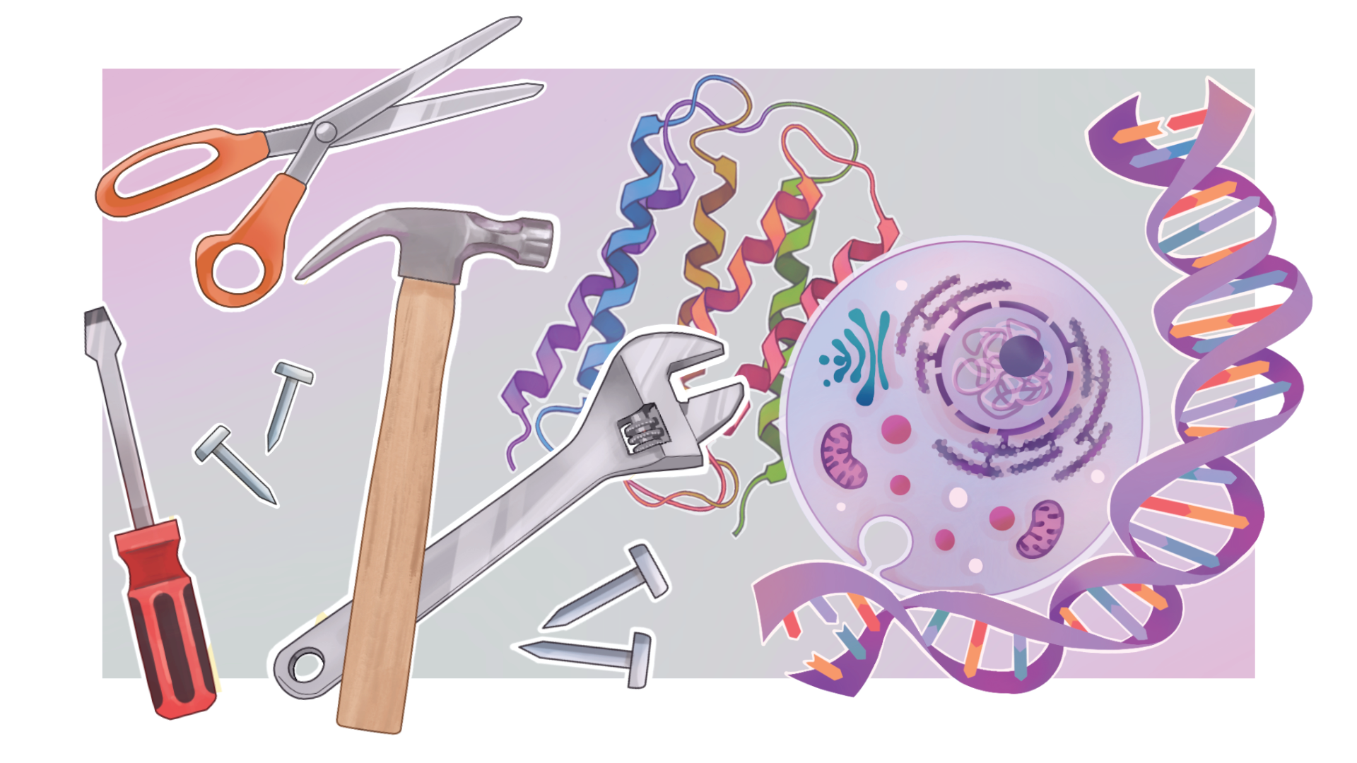 Molecular Tools