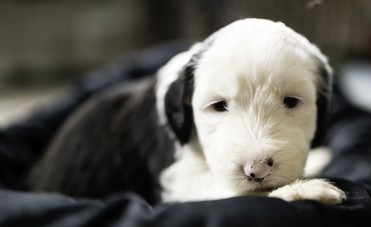 Girl 4 weeks