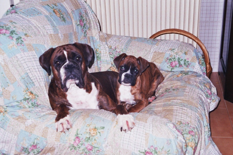 sono felice con la mia mammina!