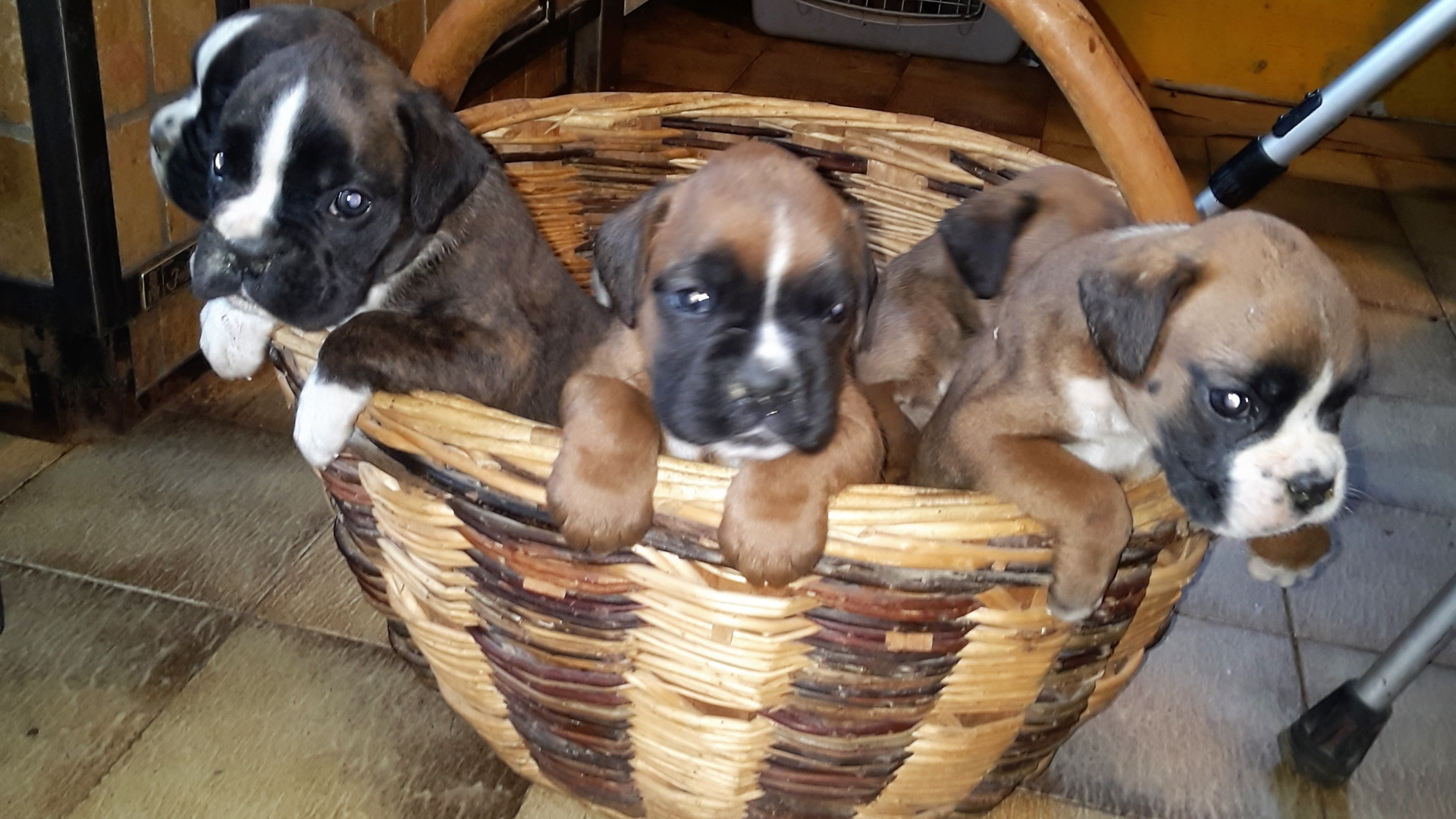 vogliamo uscire!!!!!