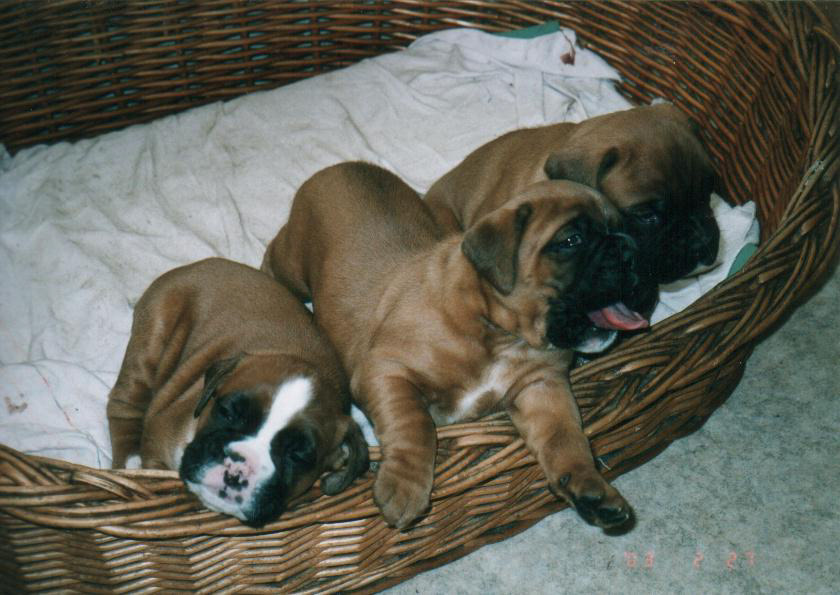 non ci piace stare qua!