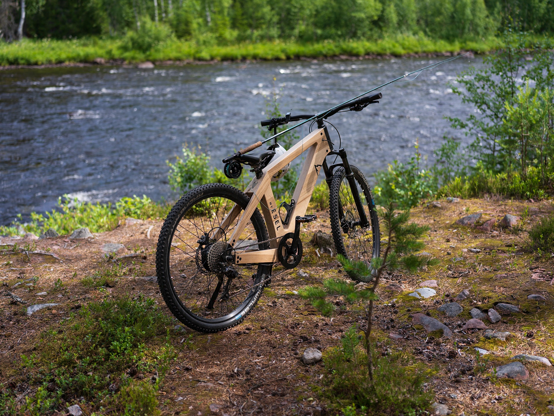 Norrland Esel