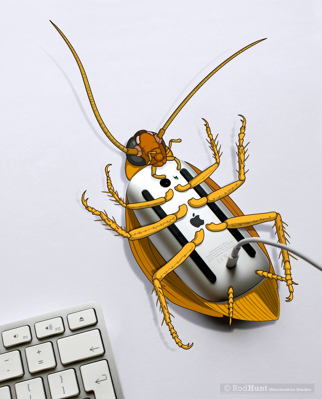 Apple Magic Mouse Charging Cockroach illustration - just dumb design by Apple