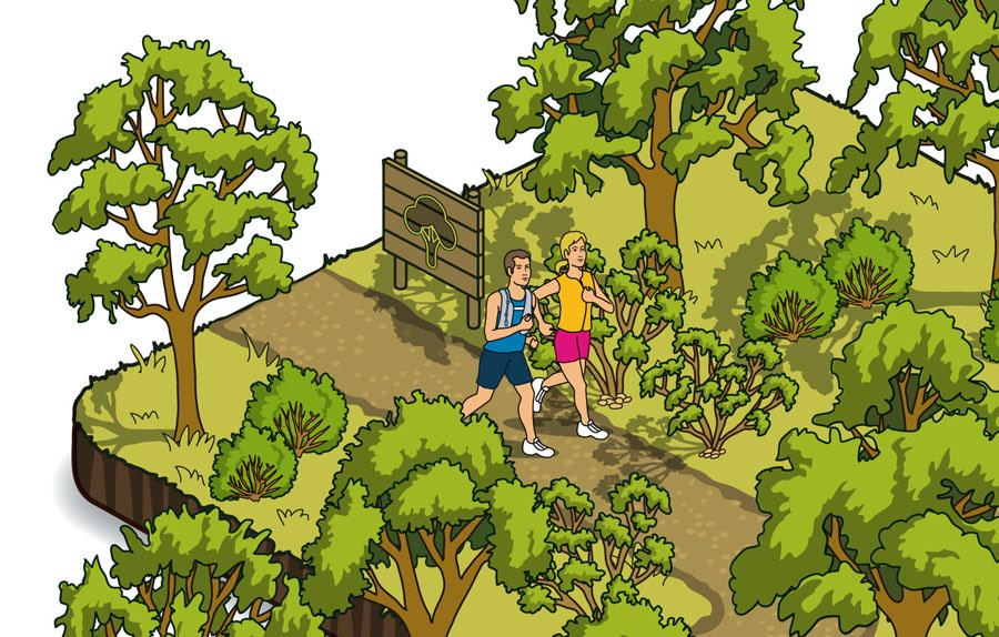Isometric illustrations of the countryside