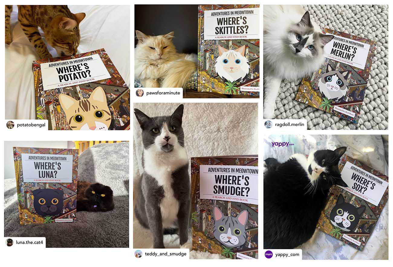 Where's Your Cat? Seek and Find picture book with happy cats and their books