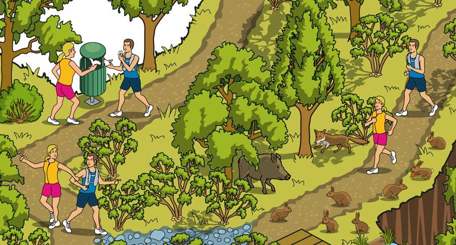 Editorial illustrations for a running article in Runner's World Magazine