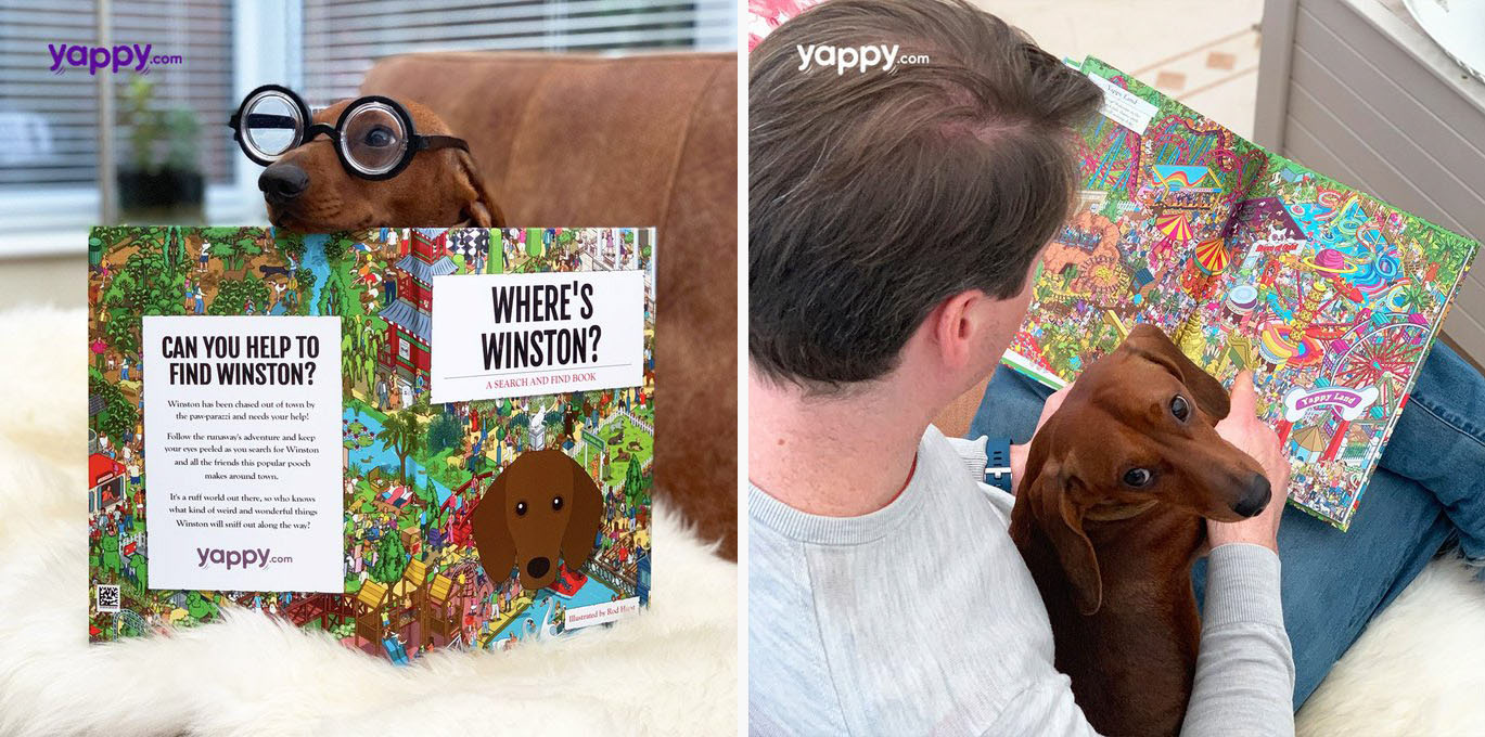 Create your own Where's 'Your Dog a Custom Where's Wally / Waldo style Personalised illustrated dog search and find book - your dog is the star! Illustrated by Rod Hunt