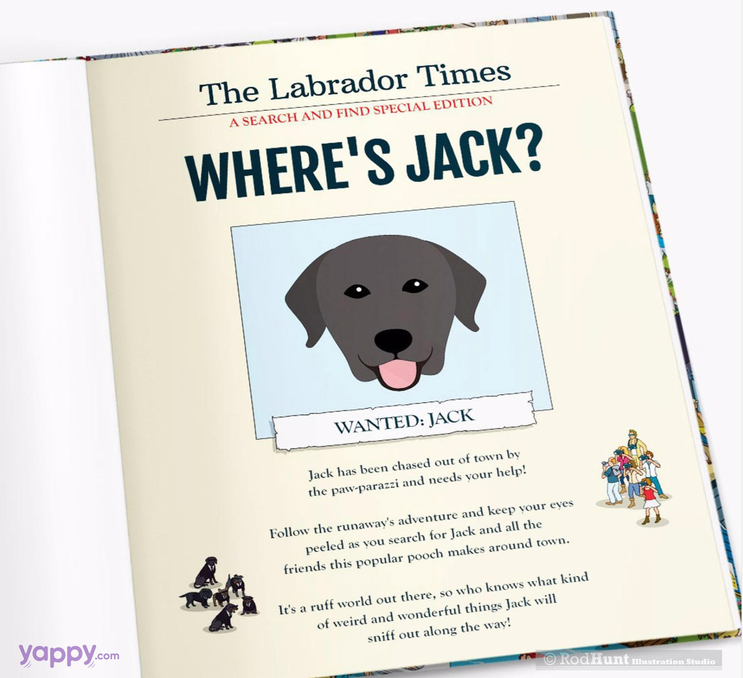 Illustrated Personalised Custom story book 