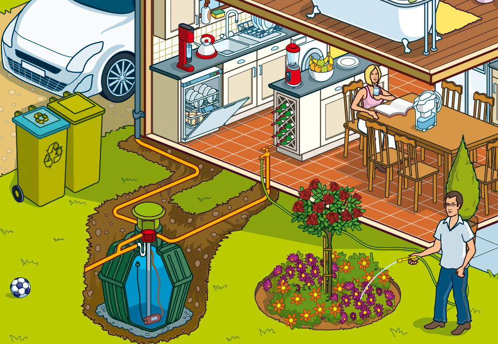 Infographic cutaway diagram of a house showing water saving features - cross section home illustration by Rod Hunt