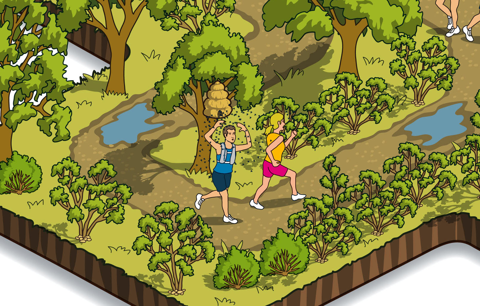 Editorial illustrations for an article on trail running