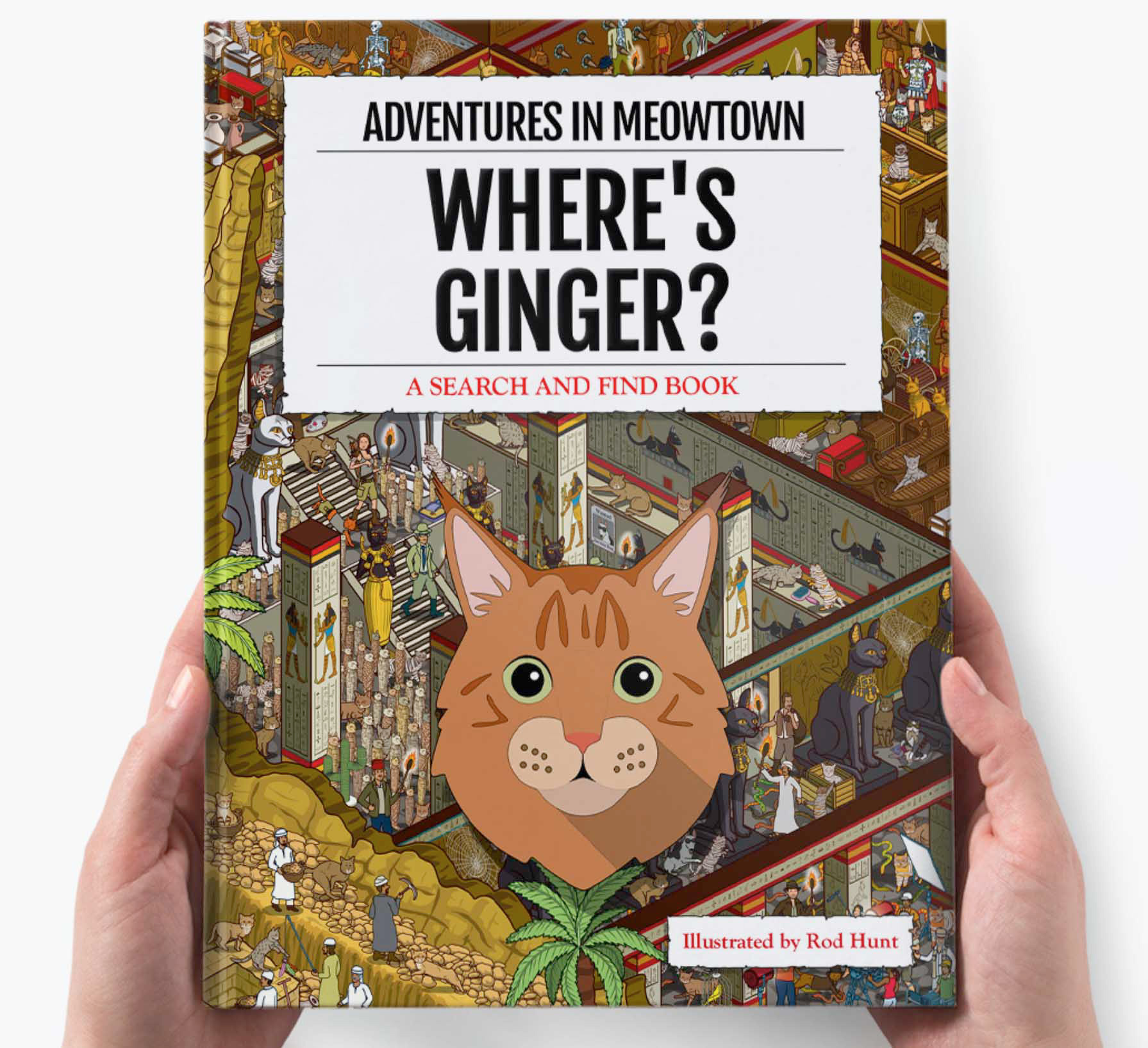 Make your own where's waldo style book for your cat or dog. Rod Hunt has illustrated his latest search and find book Where's Your Cat/Dog? Adventures in Meowtown for Yappy.com - a personalised Where's Wally / Waldo illustrated hidden picture book