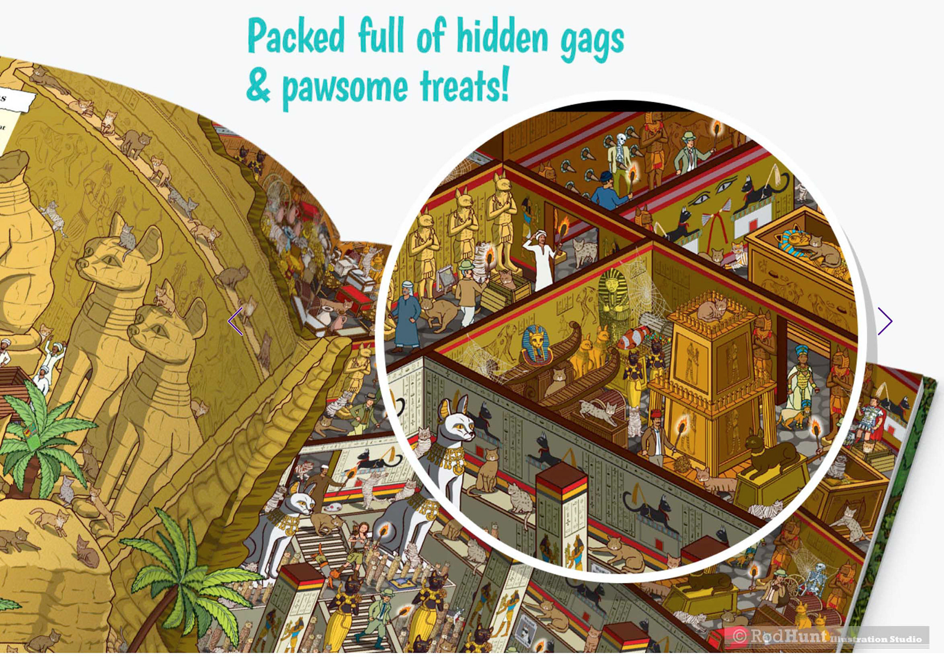 Illustrated personalised search and find book for cats and their owners with Where's Waldo / Wally type pictures