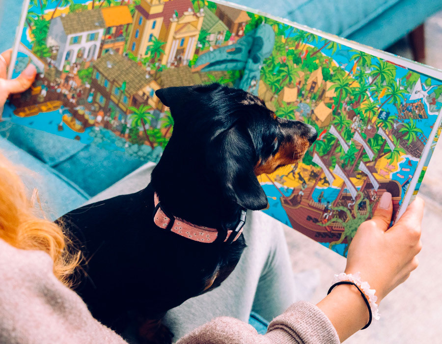 Make your own Personalised search and find picture book for your cat or dog - Where's Your Cat / Dog? The Wild Ride To... Illustrated by Rod Hunt illustrated with Where's Waldo / Wally? type pictures