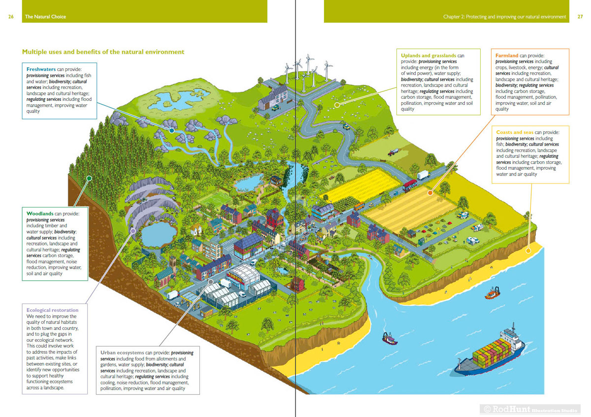 Pressures on Land - environmental information graphics illustration