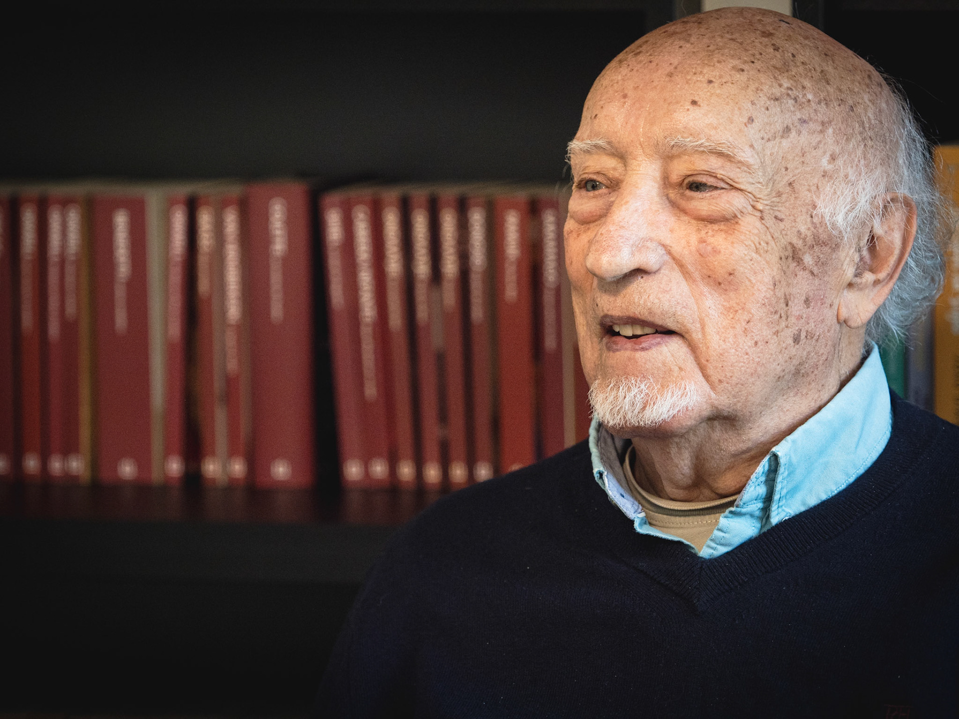 manuel vicent