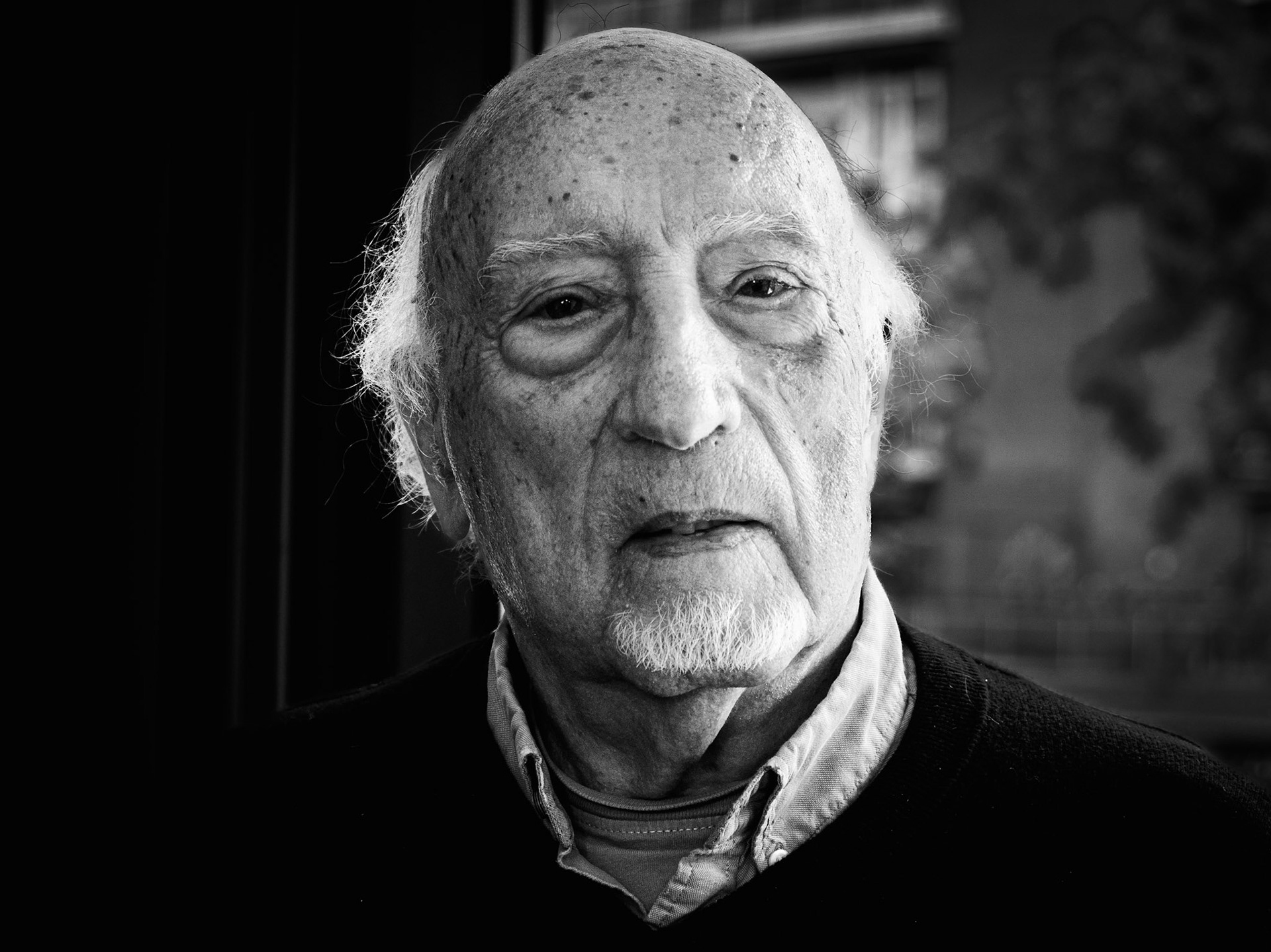 manuel vicent