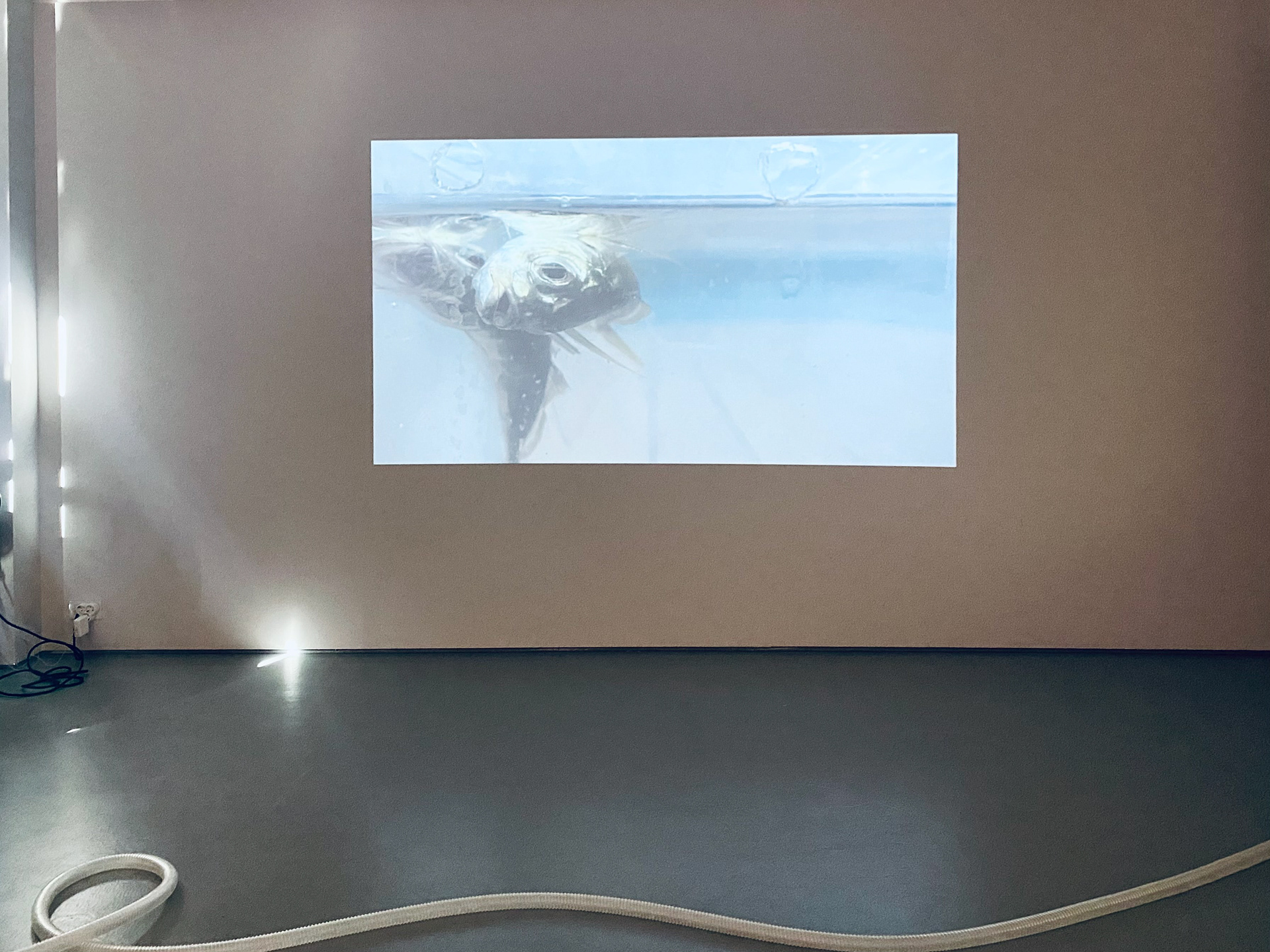 MY LUNGS DESIRE WATER LIKE İSTAVRİT NEEDS OXYGEN