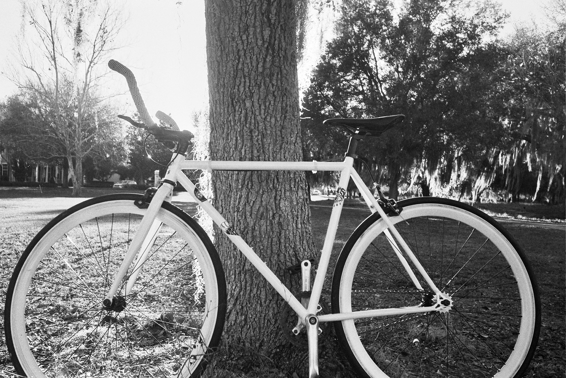Ilford Delta 400 with Olympus Infinity