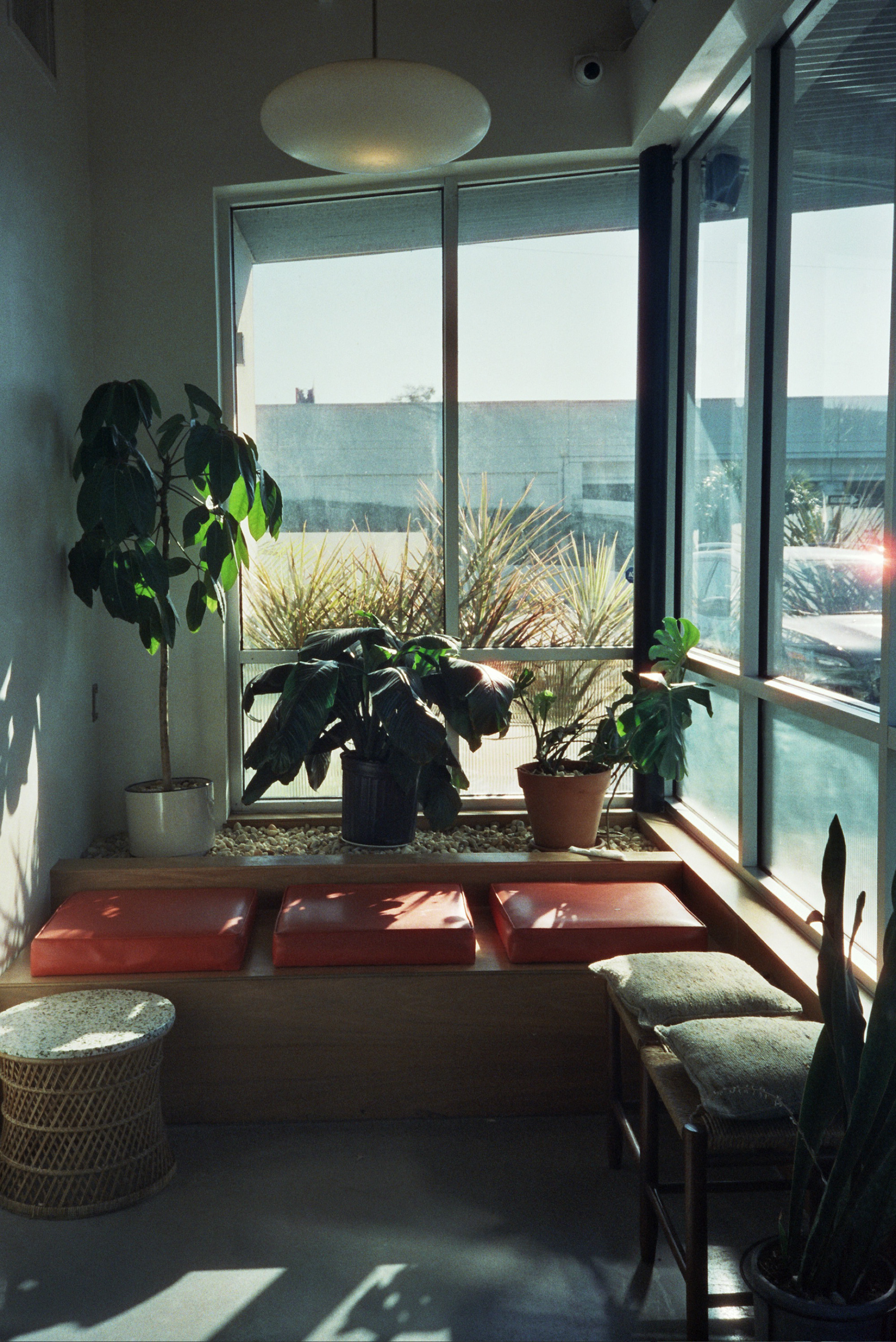 Cinestill800t with Olympus Infinity