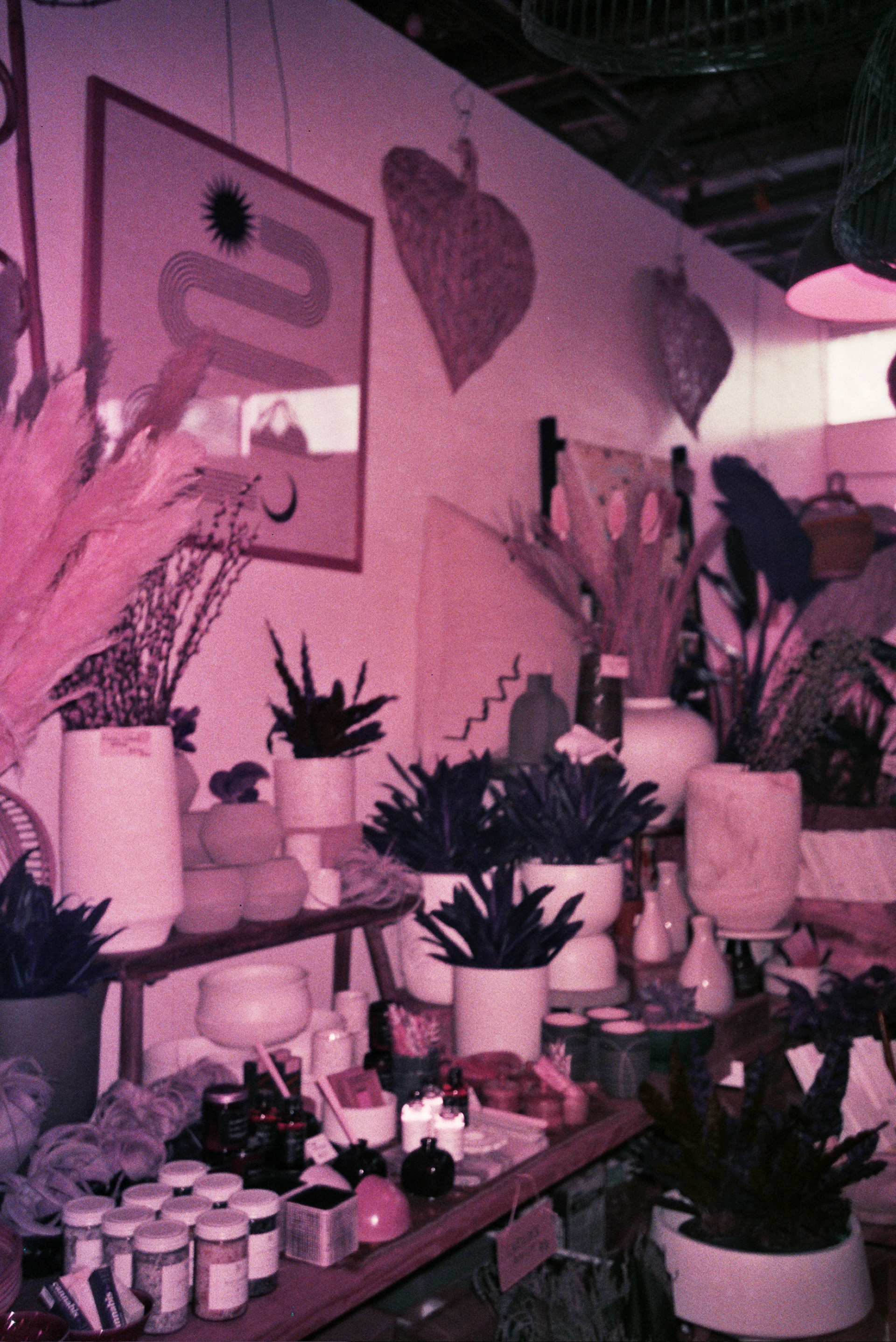 Lomochrome Purple with Olympus Infinity