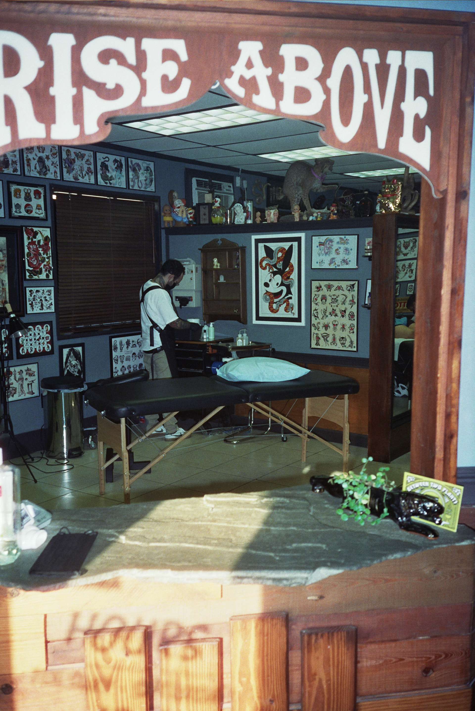 Cinestill800t with Olympus Infinity