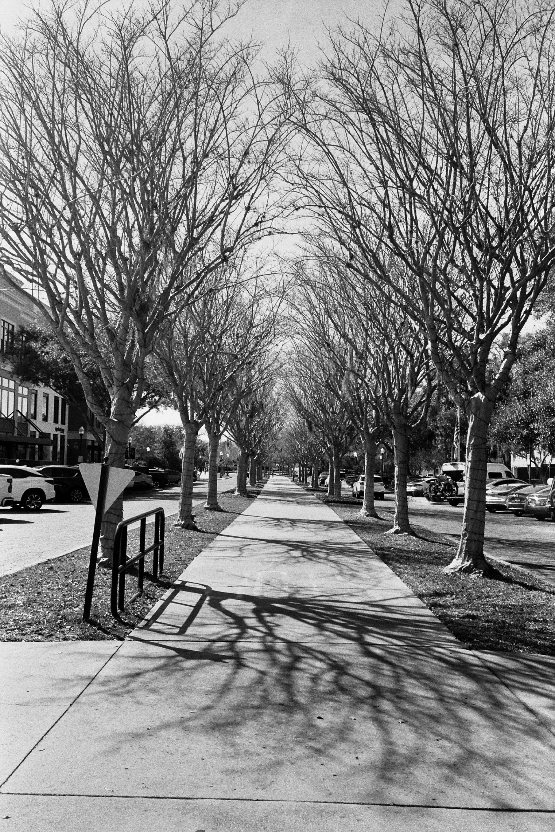 Ilford Delta 400 with Olympus Infinity