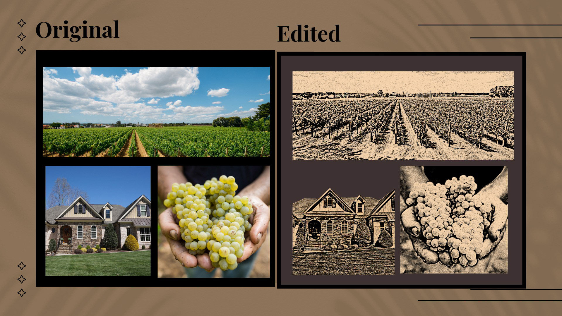 Images used for Divine Essence Labels