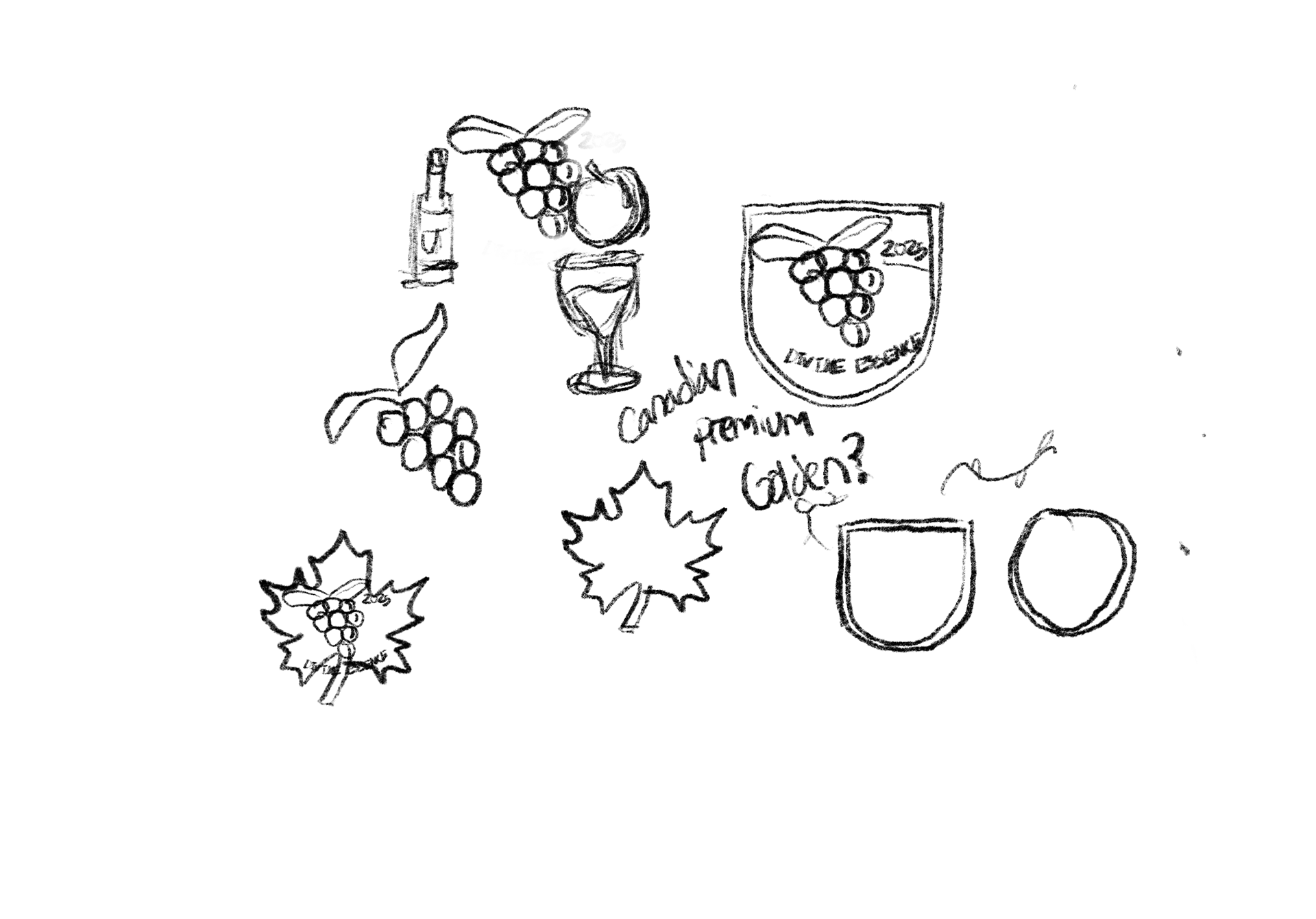 logo sketches for Divine Essence