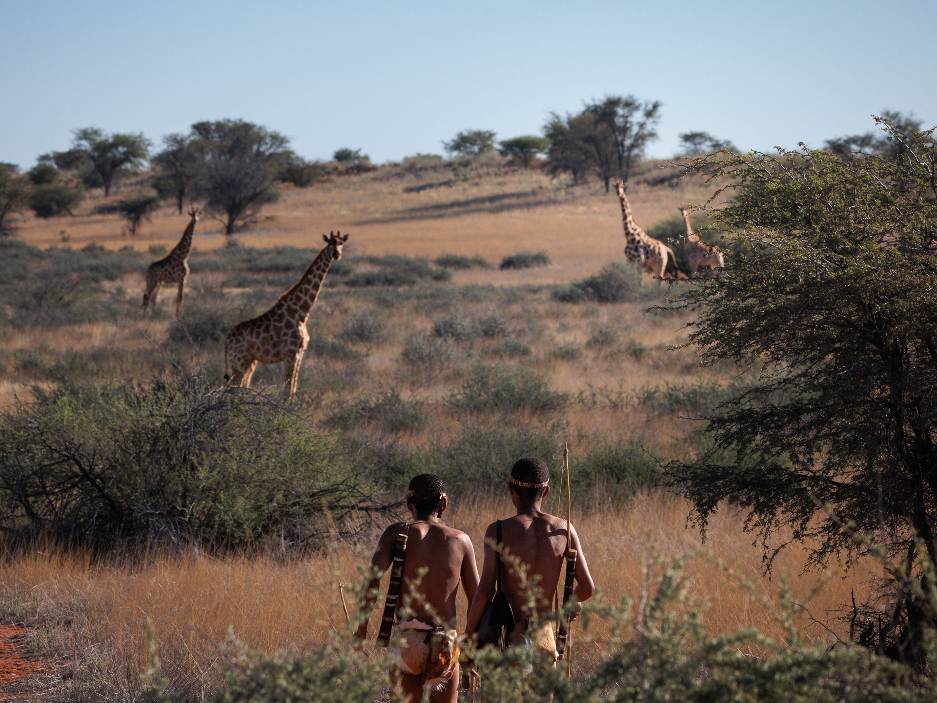 På jakt med bushmen, Sanfolk