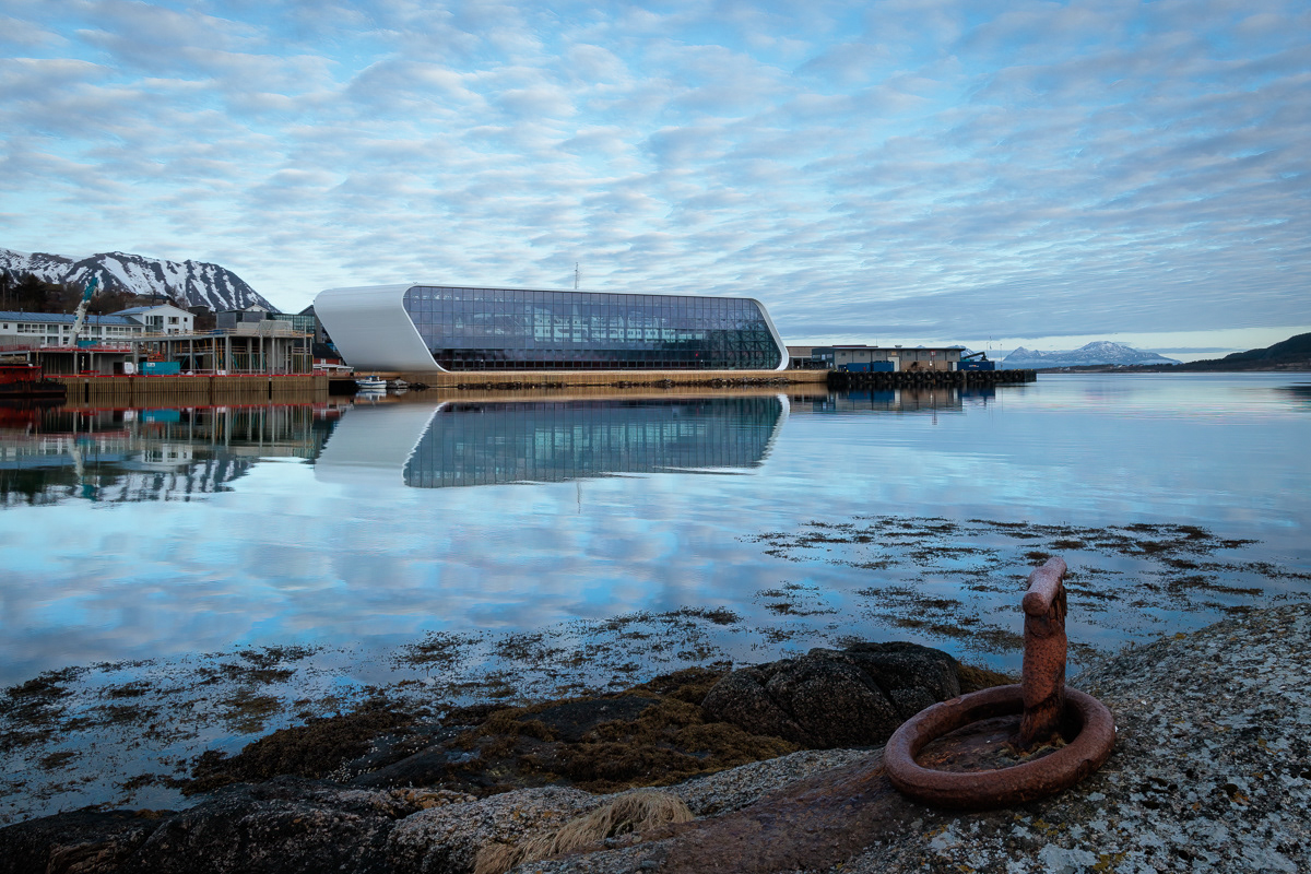 Design: LINK Arkitektur