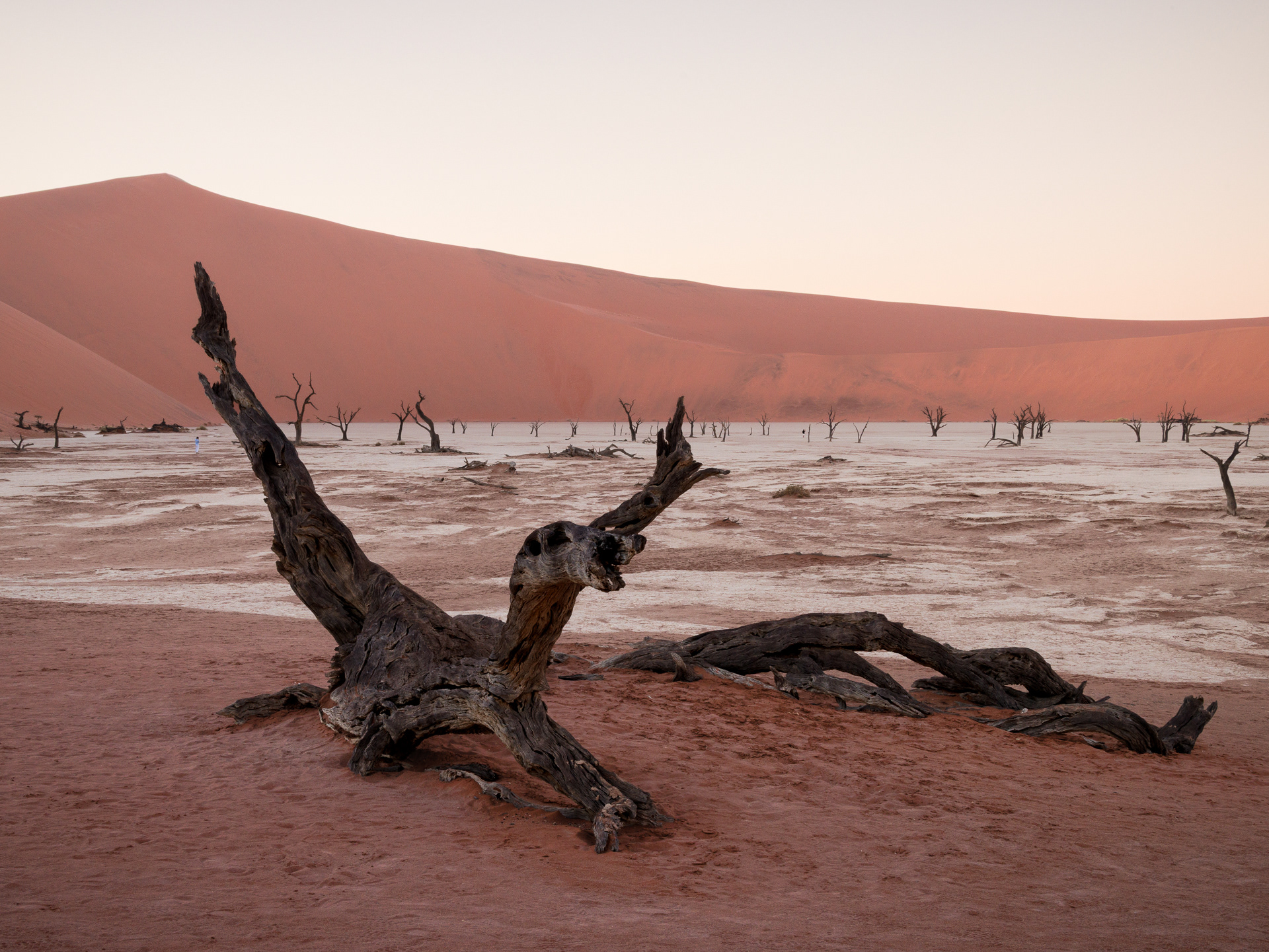 Deadvlei