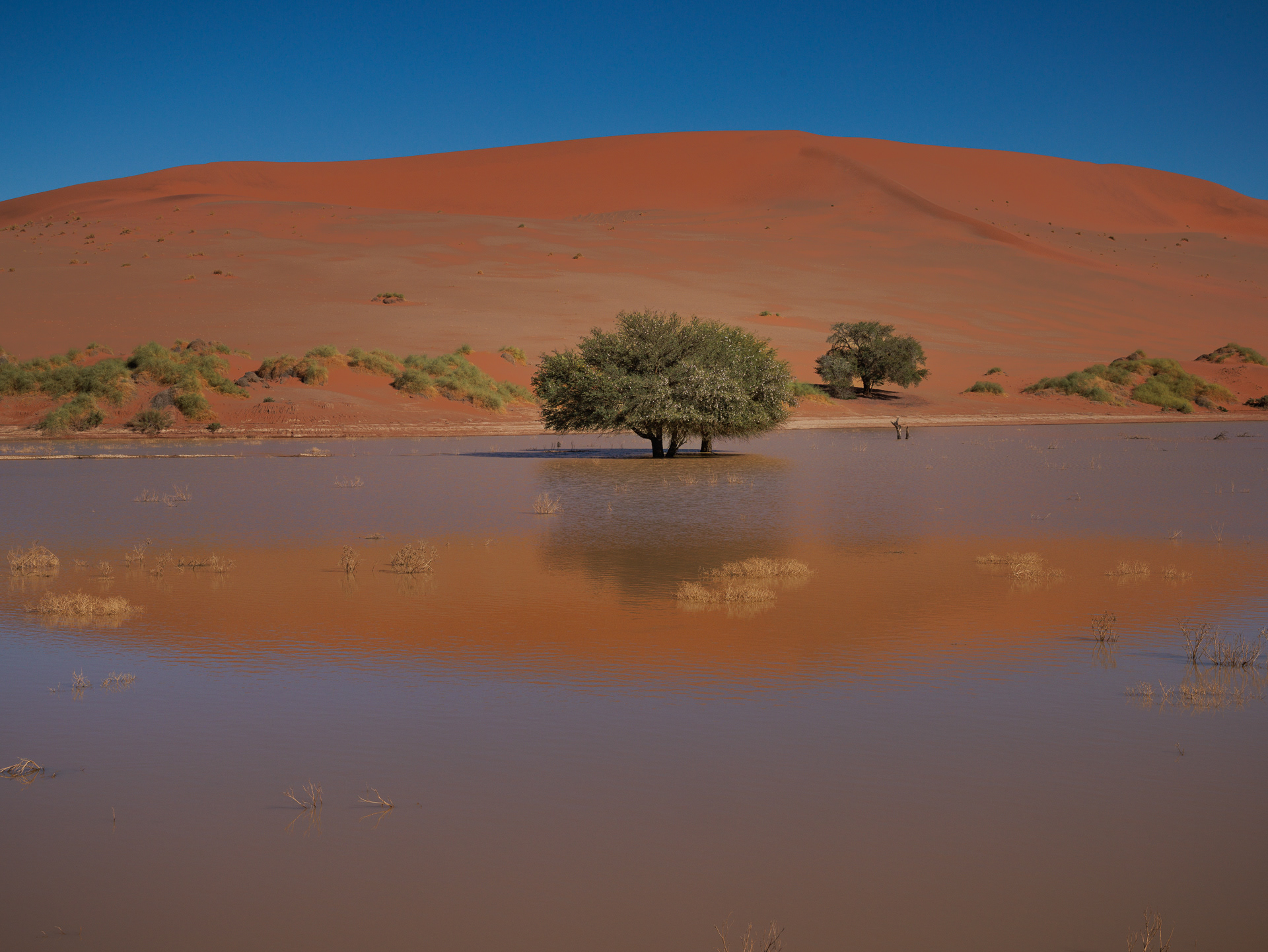 Sossusvlei