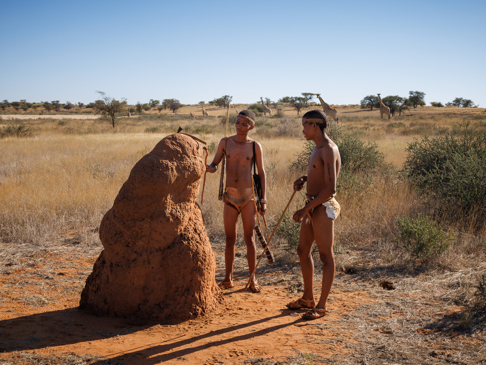 Bushmen