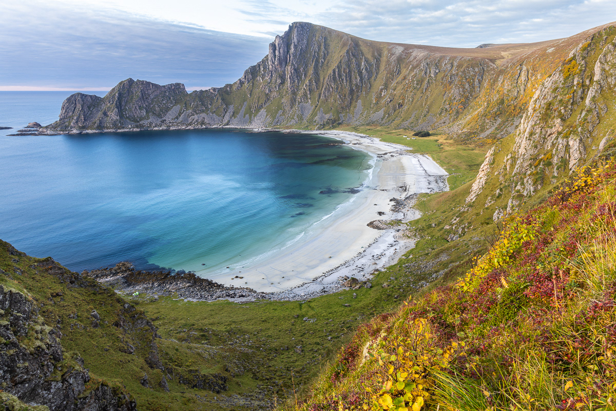 Høyvika