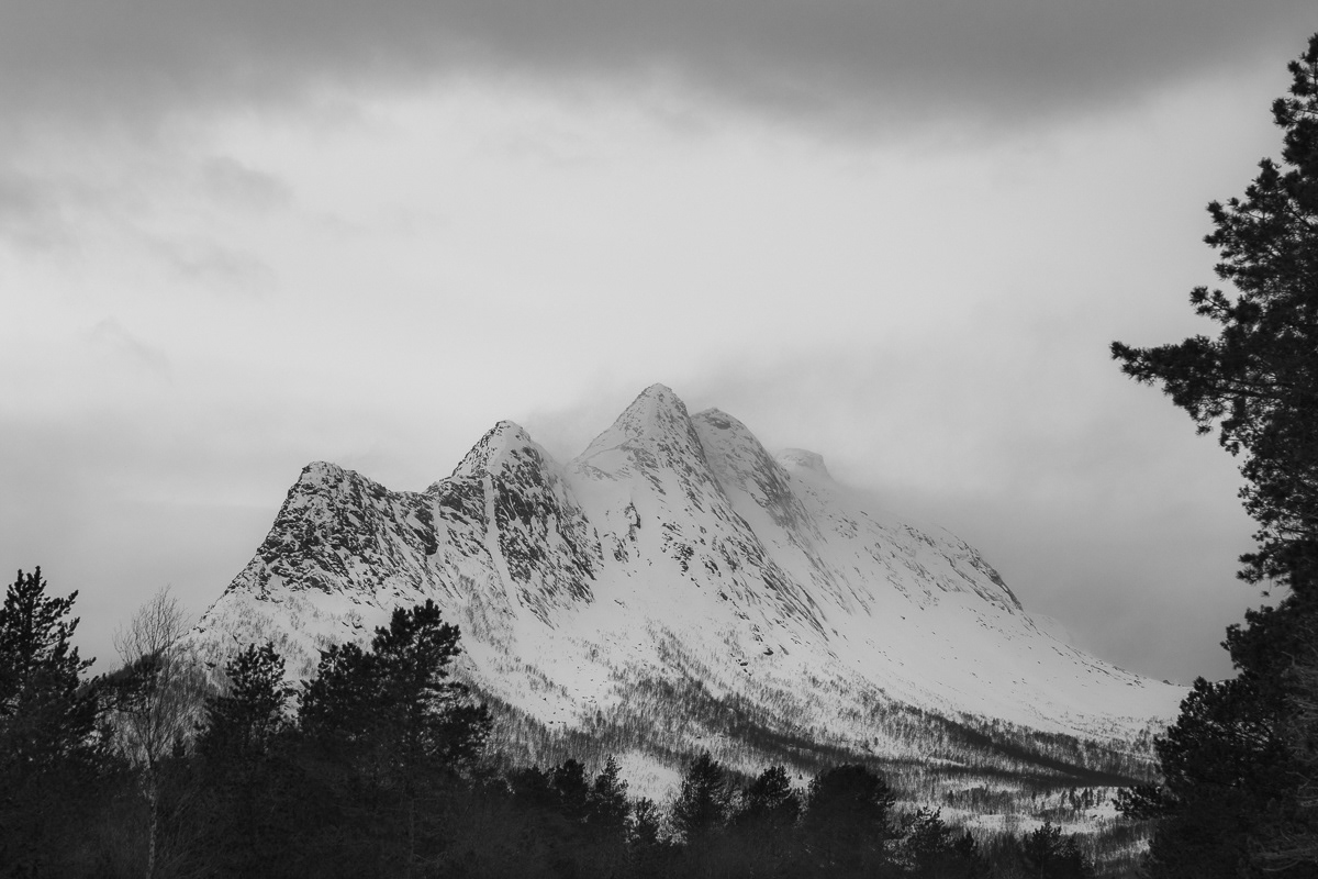 Snow blowing in the wind