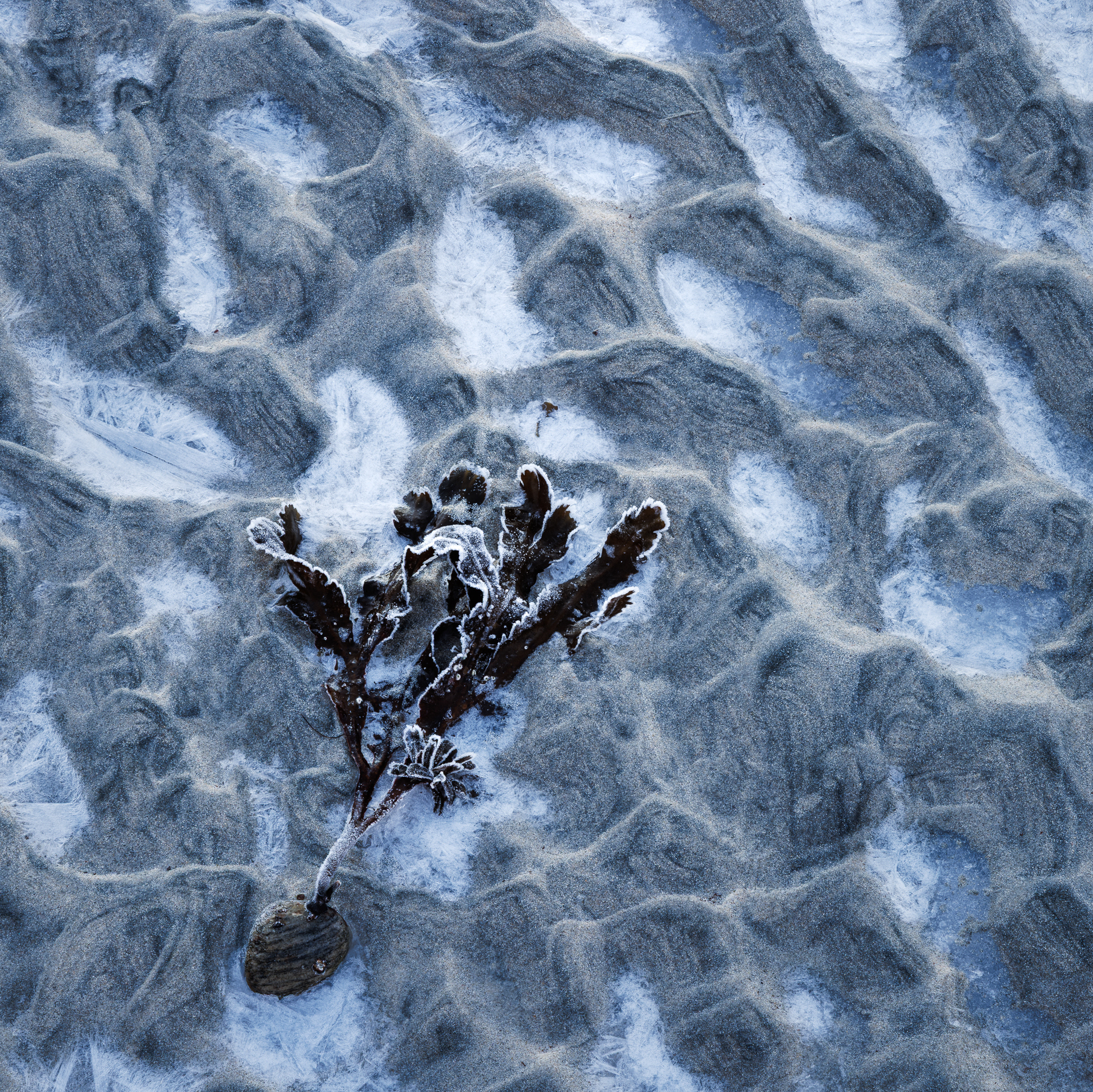 Frossen strand