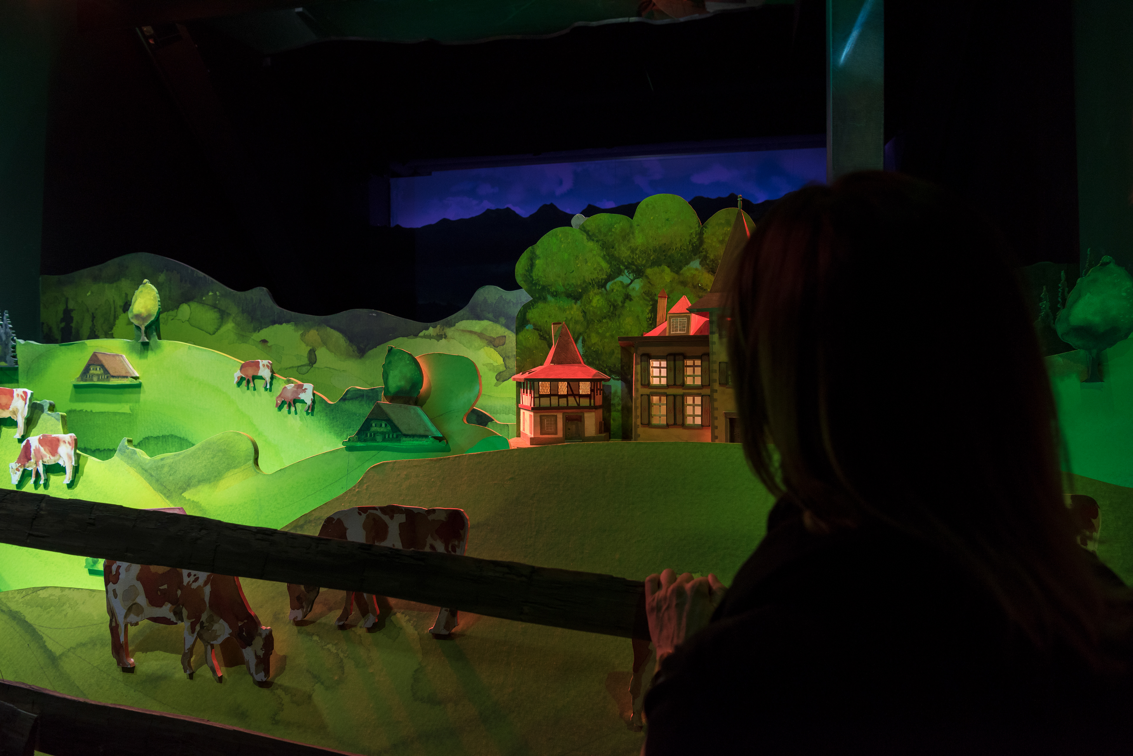 © Daniel Desborough/Steiner Sarnen Schweiz