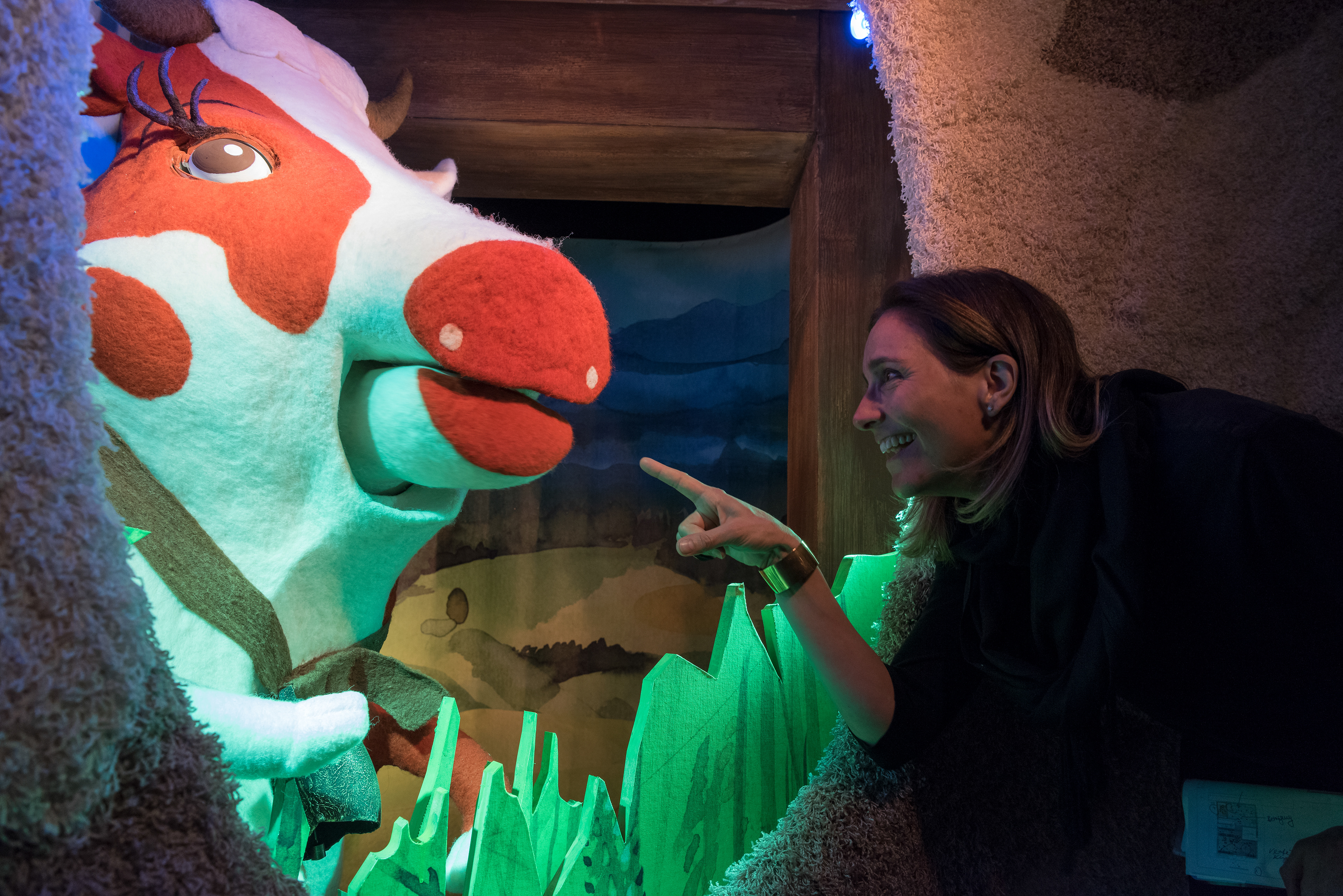 © Daniel Desborough/Steiner Sarnen Schweiz