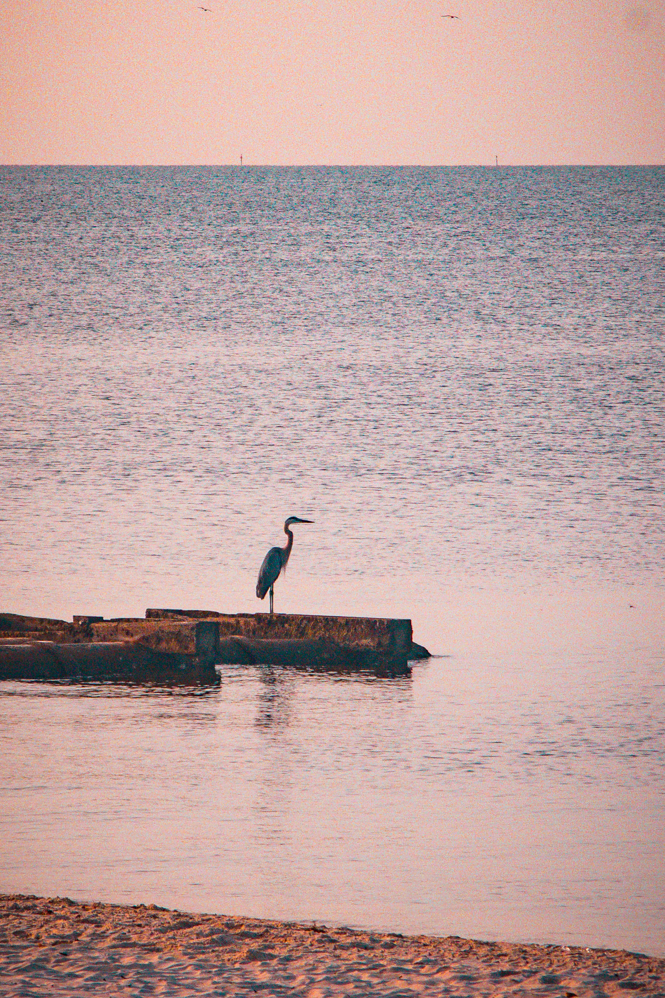 Morning Vigil