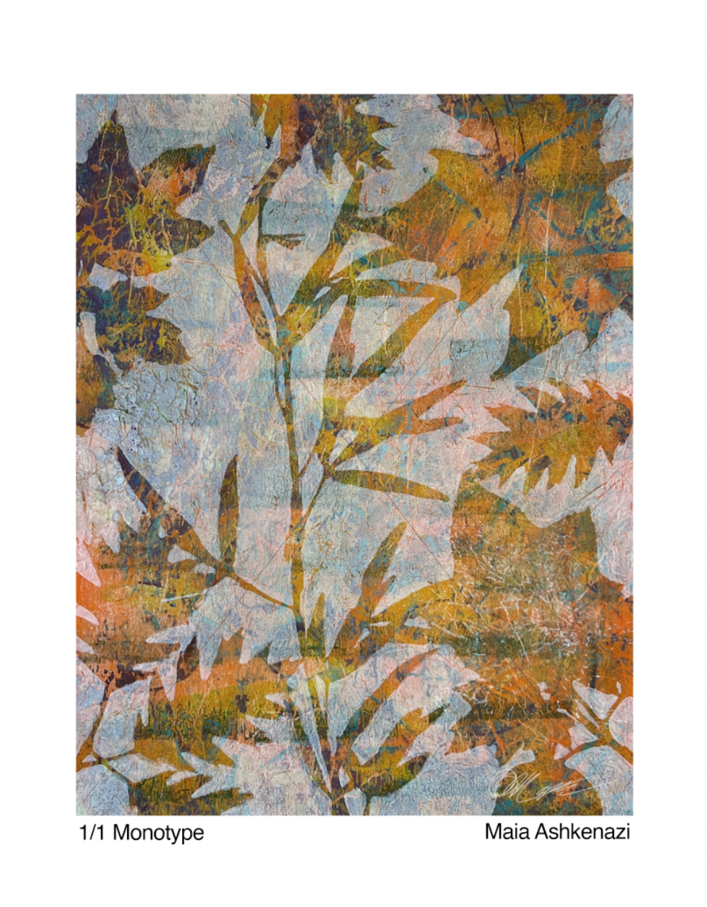 Gardens of Growth: Seeting Through