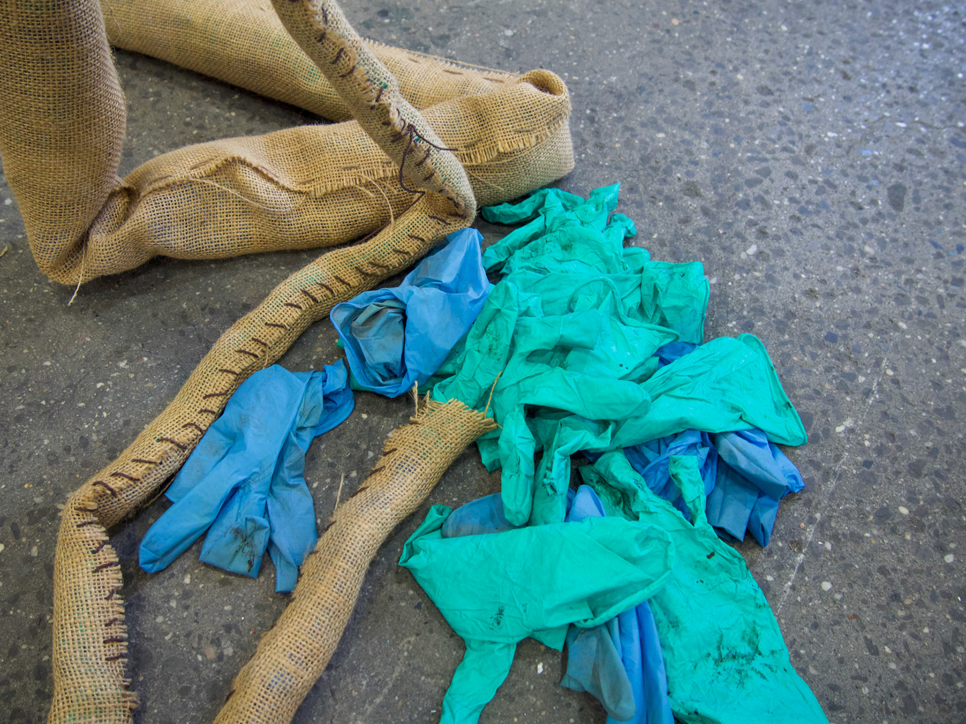 Flax Burlap, 2021 - spring 2022s’ used rubber gloves and Tiffany ble ribon.  27’  long a life size digestive tract.