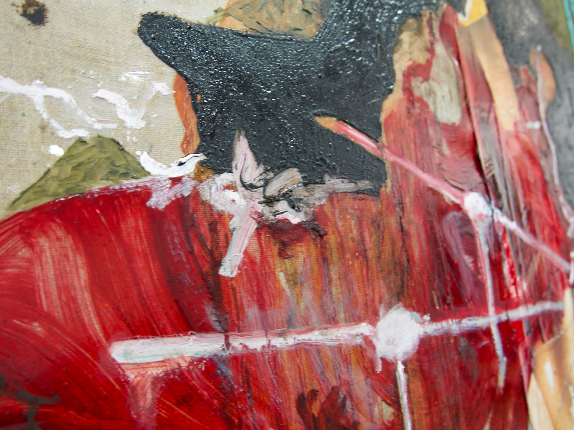 OLYMPUS DIGITAL CAMERA