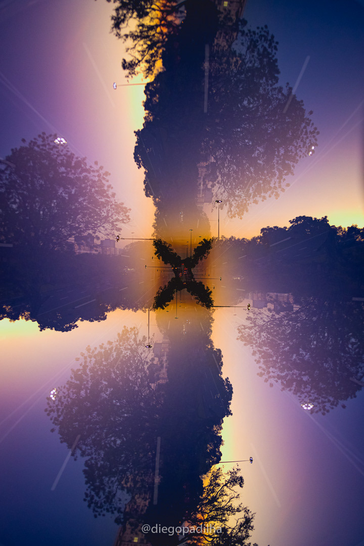 O Portal #2 - 2020