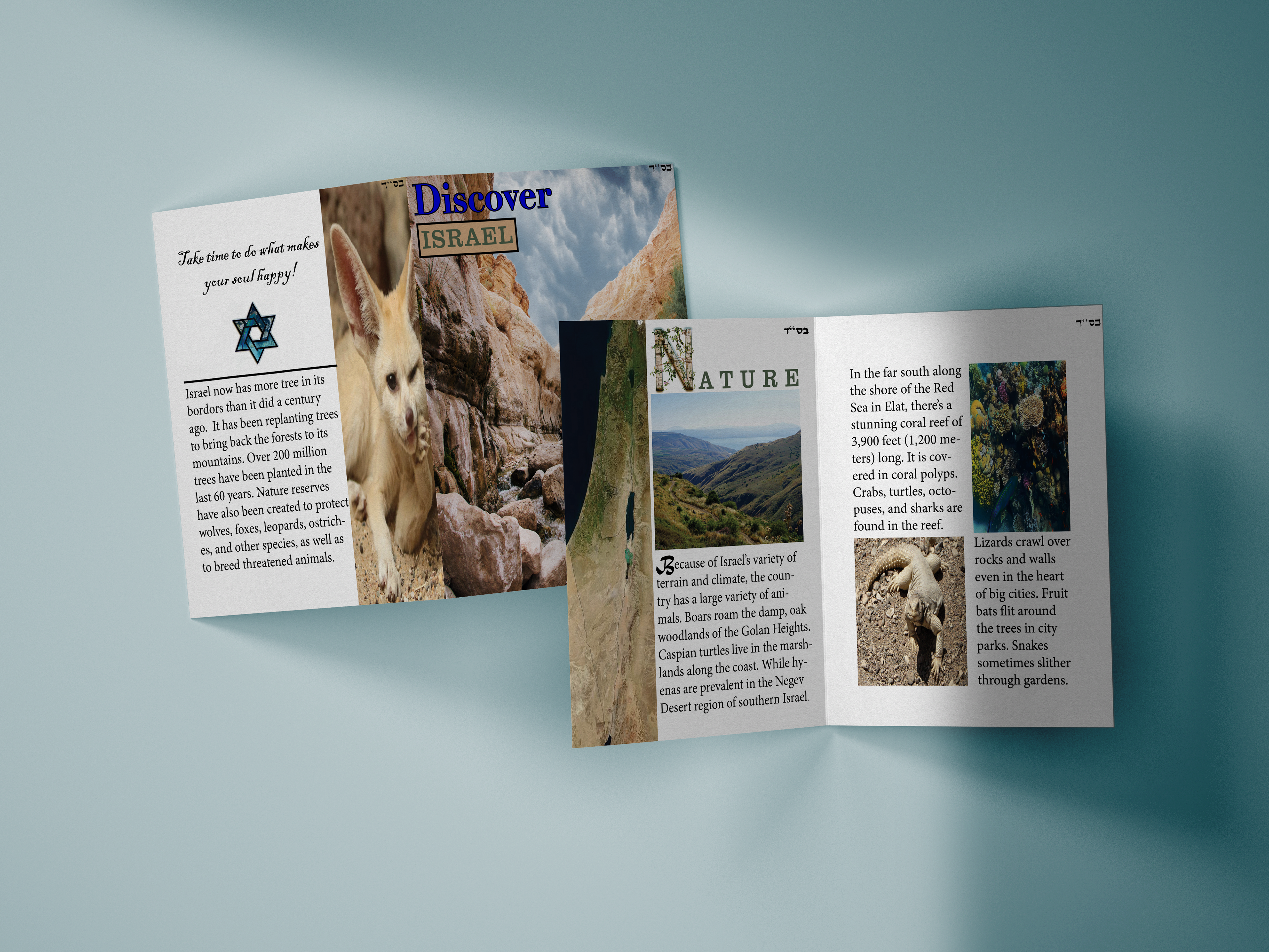 Discover Israel Brochure