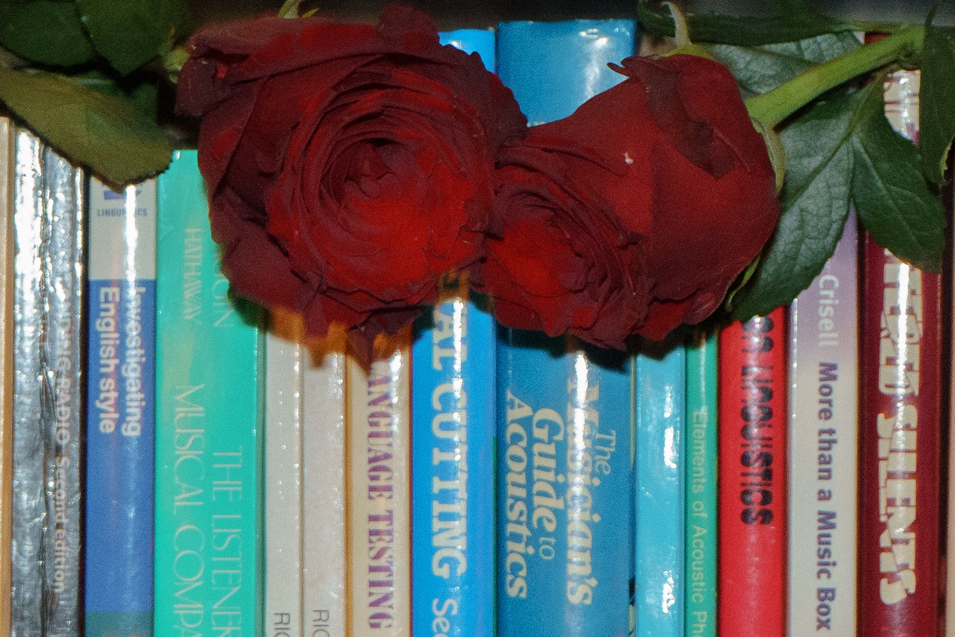 Heartbreak Hotel at The Standard, 2026. 