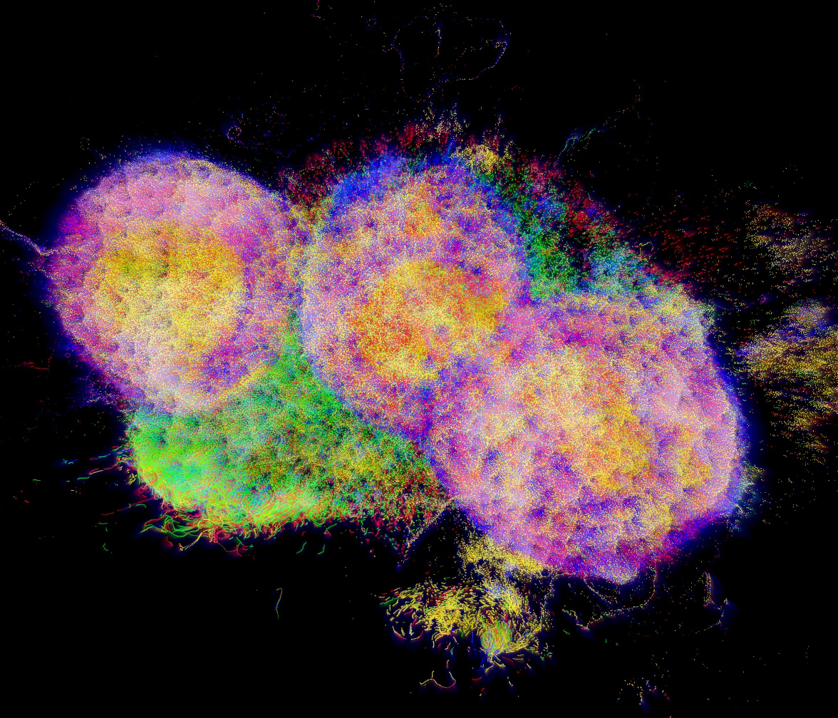 Photo Credit: Nefeli Manoudaki, Iason Paterakis, Christina Watschinger