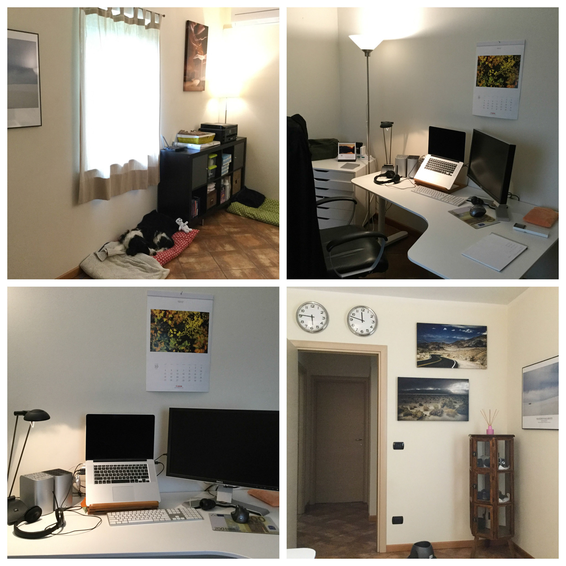 Processed with Moldiv