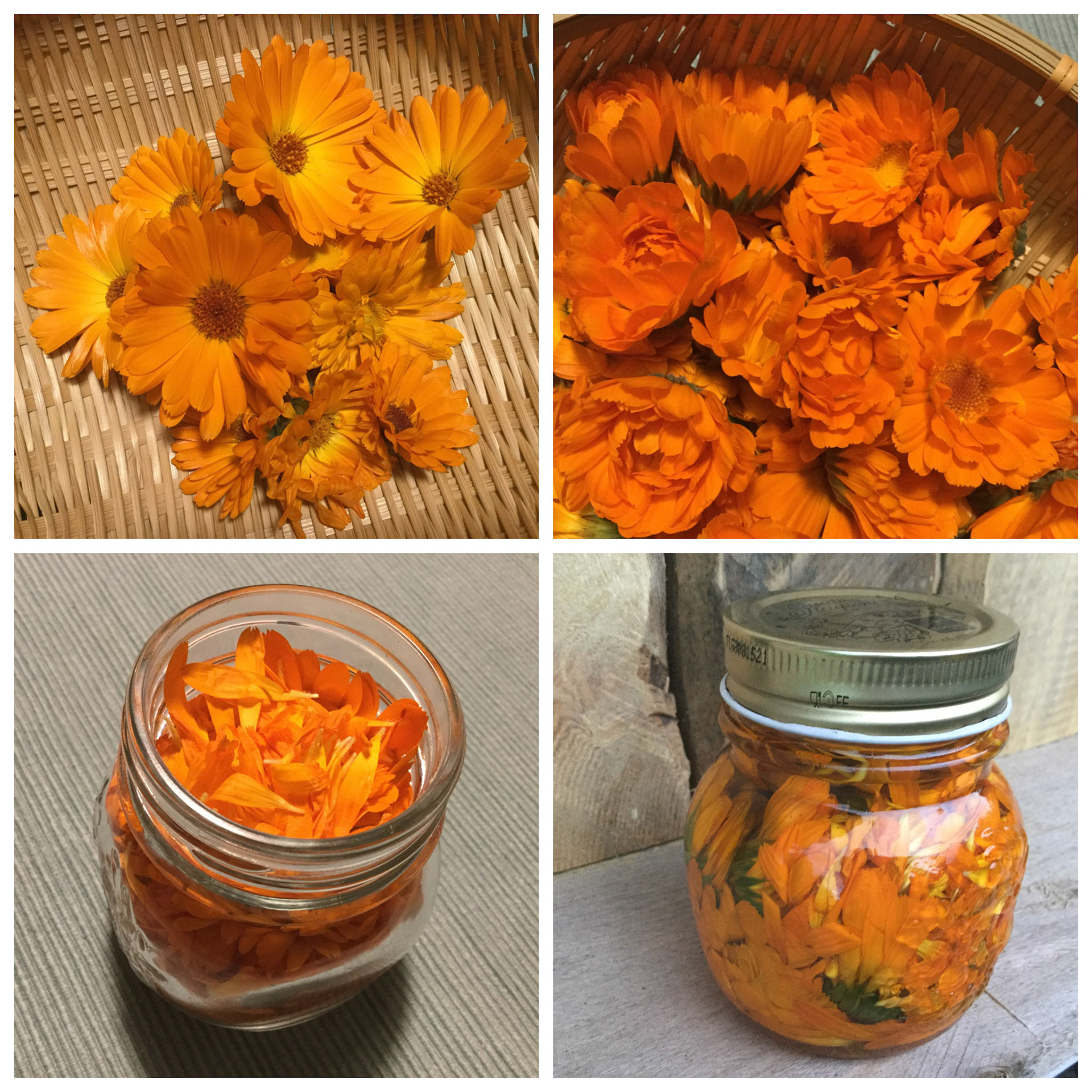 Processed with MOLDIV