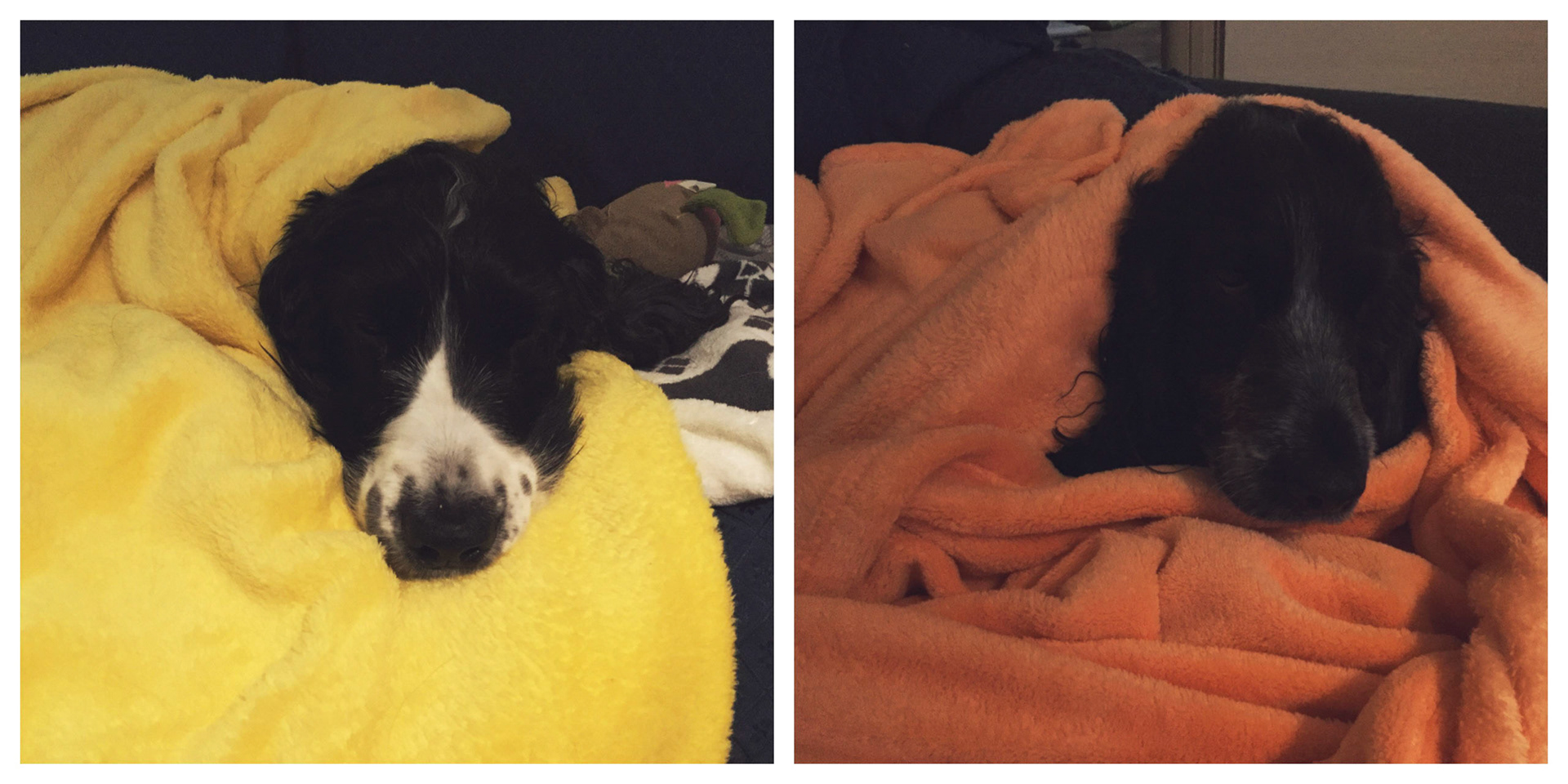 Processed with MOLDIV